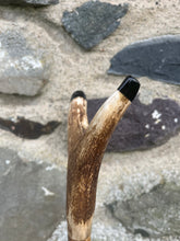Load image into Gallery viewer, Hazel Wood Antler Handle Wading Staff Stick