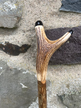 Load image into Gallery viewer, Hazel Wood Antler Handle Wading Staff Stick