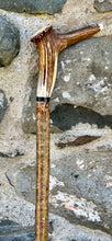 Load image into Gallery viewer, Hazel Wood Walking Stick with Antler Whistle Crown Handle (I)