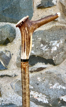 Load image into Gallery viewer, Hazel Wood Walking Stick with Antler Whistle Crown Handle (I)