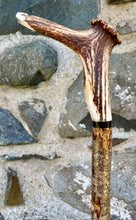 Load image into Gallery viewer, Hazel Wood Walking Stick with Antler Whistle Crown Handle (I)