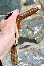 Load image into Gallery viewer, Hazel Wood Walking Stick with Antler Whistle Crown Handle (I)