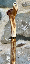 Load image into Gallery viewer, Hazel Wood Walking Stick with Antler Whistle Crown Handle (I)