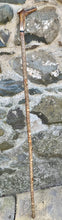 Load image into Gallery viewer, Hazel Wood Walking Stick with Antler Whistle Crown Handle (I)
