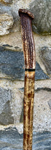 Load image into Gallery viewer, Hazel wood antler handled, handmade wooden walking sticks thumbsticks hiking sticks by Helen Elizabeth Studios