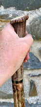 Load image into Gallery viewer, Hazel Wood Walking Stick with a Straight Antler Crown Handle (j)