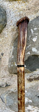 Load image into Gallery viewer, Hazel wood antler handled, handmade wooden walking sticks thumbsticks hiking sticks by Helen Elizabeth Studios