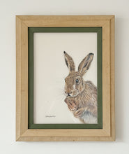 Load image into Gallery viewer, Wild Brown Hare - Inquisitive Hare - Original Coloured Pencil Drawing Framed - by Helen Elizabeth