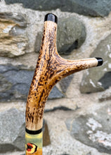 Load image into Gallery viewer, Goldfinches on Thistle- Hand Painted Hazel Thumbstick with Antler Handle on