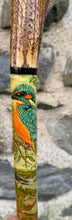 Load image into Gallery viewer, Kingfisher by River - Hand Painted Hazel Thumbstick with Antler Handle