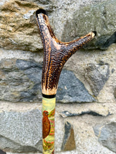 Load image into Gallery viewer, Red Grouse Hand Painted Hazel Thumbstick with Antler Handle by Helen Elizabeth