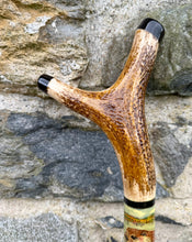 Load image into Gallery viewer, Otters on hazel country antler handled thumbstick