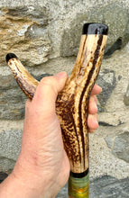 Load image into Gallery viewer, Barn Owls on hazel country antler handled thumbstick