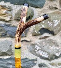 Load image into Gallery viewer, Camels in desert antler handled hazel country thumbstick by Helen Elizabeth