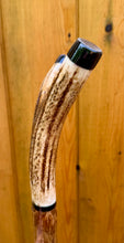 Load image into Gallery viewer, Antler Handled Hazel Wood Country Thumbstick Walking Stick by Helen Elizabeth