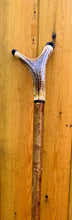 Load image into Gallery viewer, Antler Handled Hazel Wood Country Thumbstick Walking Stick by Helen Elizabeth