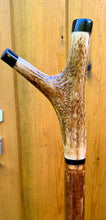 Load image into Gallery viewer, Antler Handled Hazel Wood Country Thumbstick Walking Stick by Helen Elizabeth
