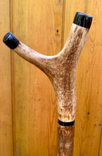 Load image into Gallery viewer, Antler Handled Hazel Wood Country Thumbstick Walking Stick by Helen Elizabeth