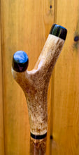 Load image into Gallery viewer, Antler Handled Hazel Wood Country Thumbstick Walking Stick by Helen Elizabeth