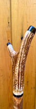 Load image into Gallery viewer, Antler Handled Hazel Wood Country Thumbstick Walking Stick by Helen Elizabeth