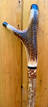 Load image into Gallery viewer, Antler Handled Hazel Wood Country Thumbstick Walking Stick by Helen Elizabeth