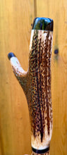 Load image into Gallery viewer, Antler Handled Hazel Wood Country Thumbstick Walking Stick by Helen Elizabeth