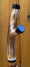 Load image into Gallery viewer, Antler Handled Hazel Wood Country Thumbstick Walking Stick by Helen Elizabeth