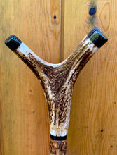 Load image into Gallery viewer, Antler Handled Hazel Wood Country Thumbstick Walking Stick by Helen Elizabeth