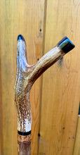 Load image into Gallery viewer, Antler Handled Hazel Wood Country Thumbstick Walking Stick by Helen Elizabeth