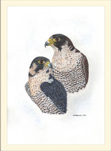 Load image into Gallery viewer, Peregrine Falcon Giclee signed limited edition print by Helen Elizabeth Studios