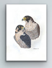 Load image into Gallery viewer, Peregrine Falcon Giclee signed limited edition print by Helen Elizabeth Studios
