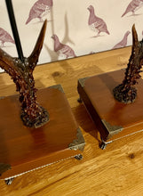 Load image into Gallery viewer, Rustic Roe Deer Stag Horn Antler Pair Candle Stick Holders by Helen Elizabeth Studios