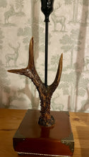 Load image into Gallery viewer, Rustic Roe Deer Stag Horn Antler Pair Candle Stick Holders by Helen Elizabeth Studios