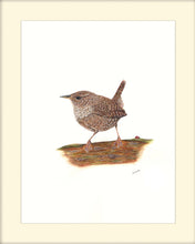 Load image into Gallery viewer, A wren signed limited edition giclee print by Helen Elizabeth