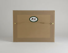 Load image into Gallery viewer, Chicken and Cockerell colouered pencil drawing by Helen Elizabeth Studios