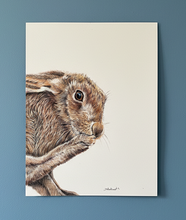 Load image into Gallery viewer, wild brown hare colouered pencil drawing by Helen Elizabeth Studios