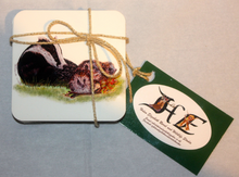 Load image into Gallery viewer, Wildlife Getting Along Collection - Gift Set BY Helen Elizabeth