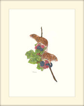 Load image into Gallery viewer, field mice on berries - signed limited edition giclee print by Helen Elizabeth