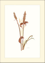 Load image into Gallery viewer, field mice on wheat - signed limited edition giclee print by Helen Elizabeth