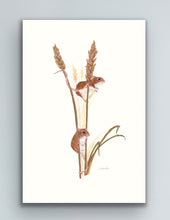Load image into Gallery viewer, field mice on wheat - signed limited edition giclee print by Helen Elizabeth
