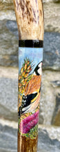 Load image into Gallery viewer, Goldfinch Hand Painted on Antler Handle Hazel Thumbstick by Helen Elizabeth Studios
