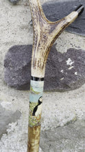 Load and play video in Gallery viewer, Puffins Painted on Antler Handle Hazel Thumbstick by Helen Elizabeth StudiosHelen 
