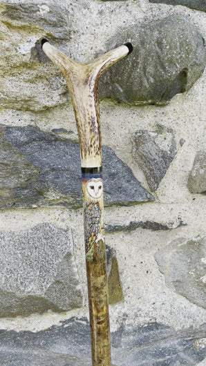 Barn Owl Hand Painted on Antler Handle Hazel Thumbstick by Helen Elizabeth Studios