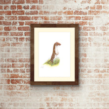 Load image into Gallery viewer, Weasel =- signed limited edition giclee priunt by Helen Elizabeth