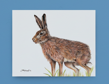 Load image into Gallery viewer, wild brown hare colouered pencil drawing by Helen Elizabeth Studios