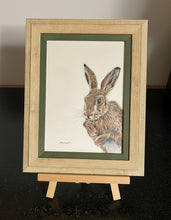 Load image into Gallery viewer, wild brown hare colouered pencil drawing by Helen Elizabeth Studios