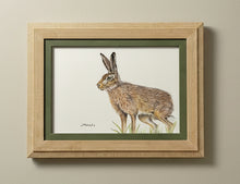 Load image into Gallery viewer, wild brown hare colouered pencil drawing by Helen Elizabeth Studios