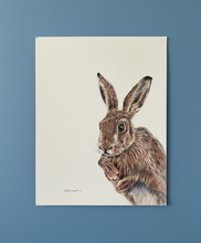 Load image into Gallery viewer, wild brown hare colouered pencil drawing by Helen Elizabeth Studios