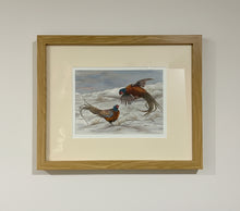 Load image into Gallery viewer, winter fighting pheasants colouered pencil drawing by Helen Elizabeth Studios original framed