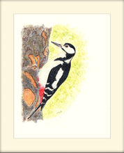 Load image into Gallery viewer, woodpecker signed limited edition giclee print by Helen Elizabeth